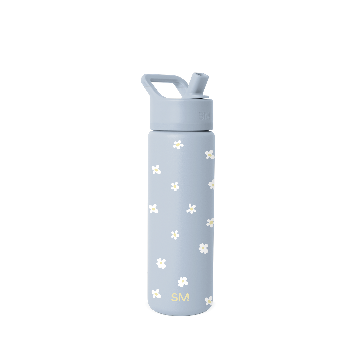 Summit Water Bottle with Straw Lid