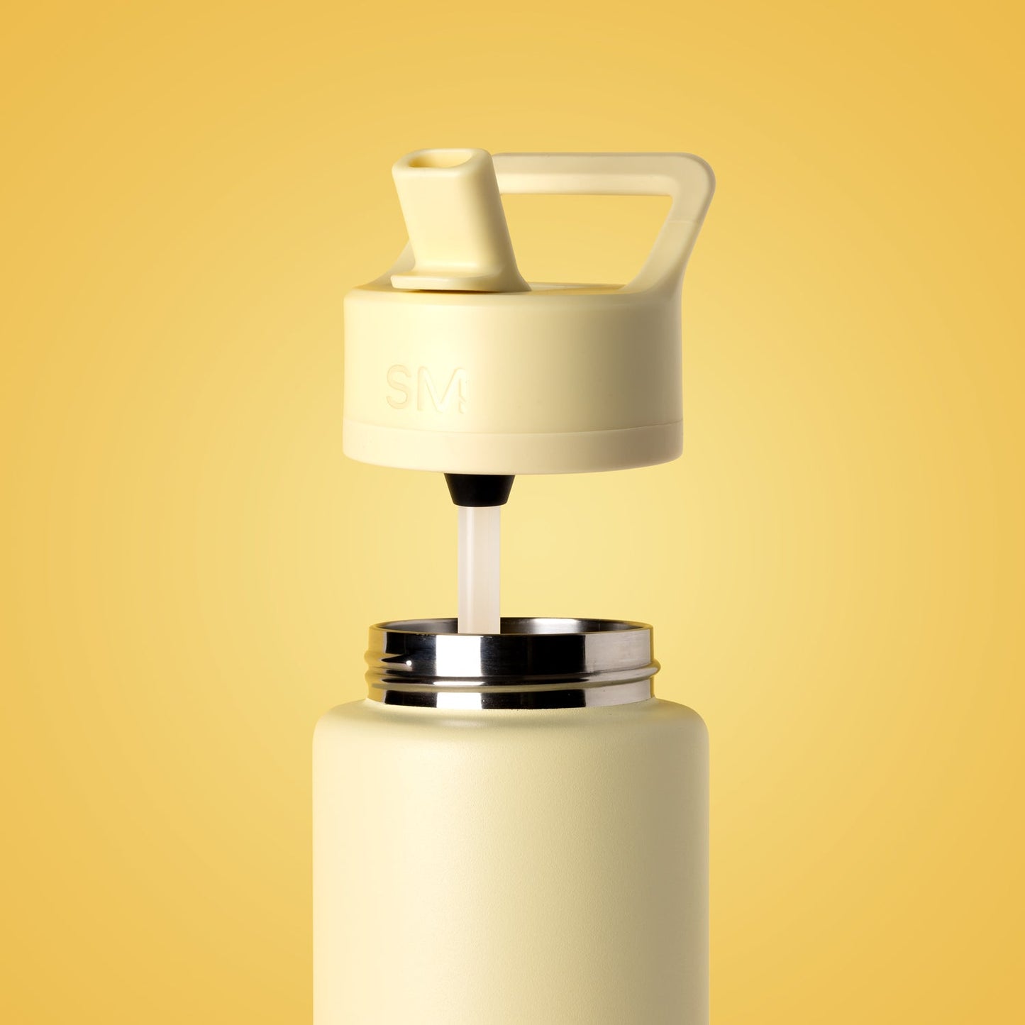 Summit Water Bottle with Straw Lid